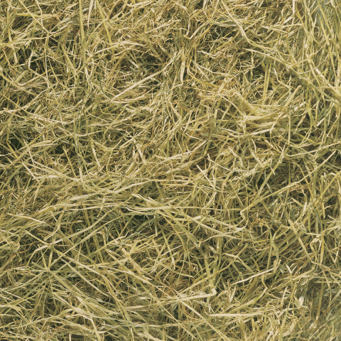 Horse dinner haylage – Image 2
